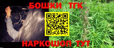 спиды Заводоуковск