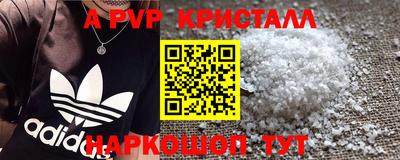 спиды Заводоуковск