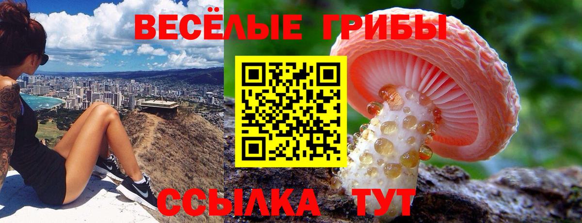 Псилоцибиновые грибы MAGIC MUSHROOMS  Вход с VPN  Псилоцибиновые грибы GOLDEN TEACHER  Балашов 