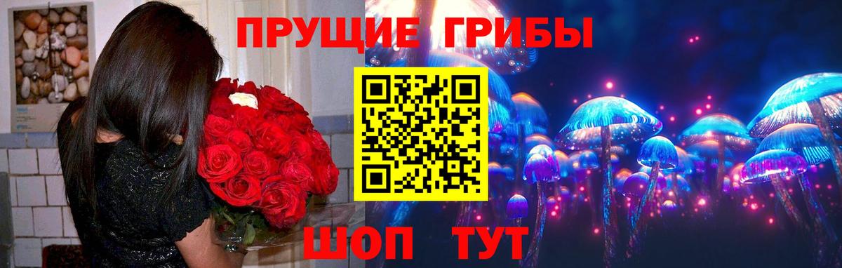 Псилоцибиновые грибы прущие грибы Балашов